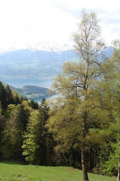 Entire holiday apartment, Rigi- Nature holidays on the organic farm in Vitznau, Lake Lucerne
