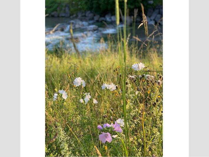 Ferienhaus für 8 Personen, mit Garten und Sauna sowie Terrasse am Tegernsee - 3
