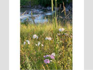 Ferienhaus für 9 Personen in Rottach-Egern, Alpenland Tegernsee Schliersee, Bild 4