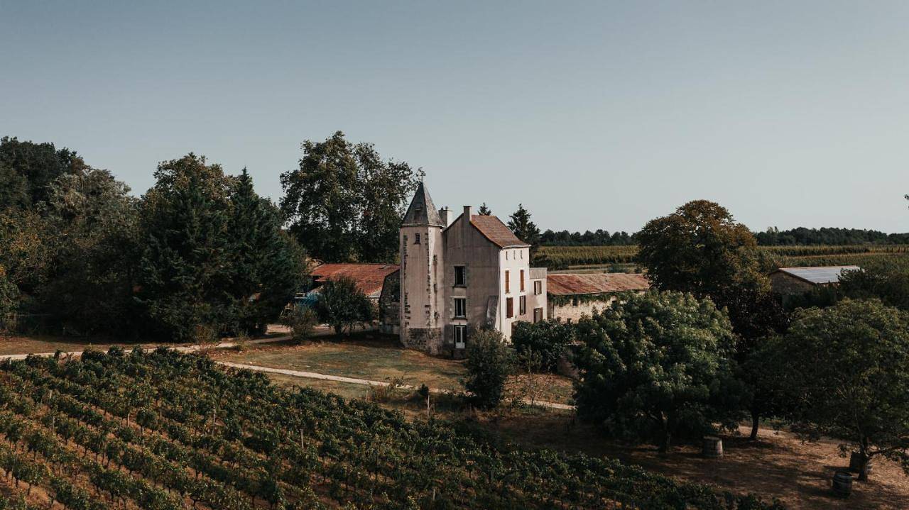 Manoir au coeur des vignes in Marigny-Brizay, Vienne (France)