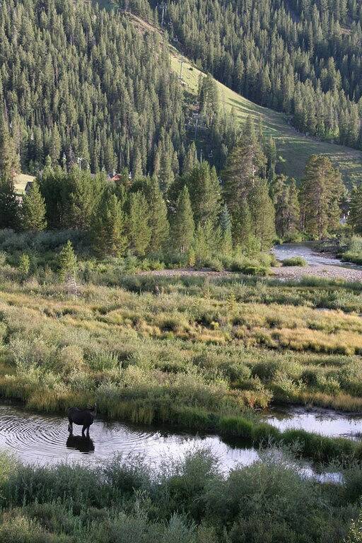 Ganze Wohnung, Gemütliche Wohnung - Blick auf die Berge und die Piste - In der Nähe von Liften - Tolle Angebote in Arapahoe Basin