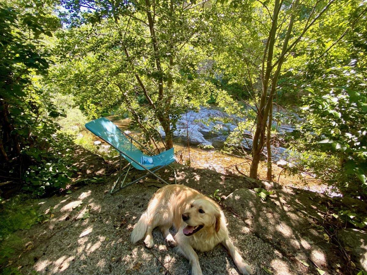 Maison les pieds dans l'eau in Villefort, Parc national des Cévennes