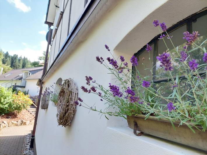 Hel lejlighed, Ferielejlighed for 2 personer med balkon in Lennestadt, Sauerland