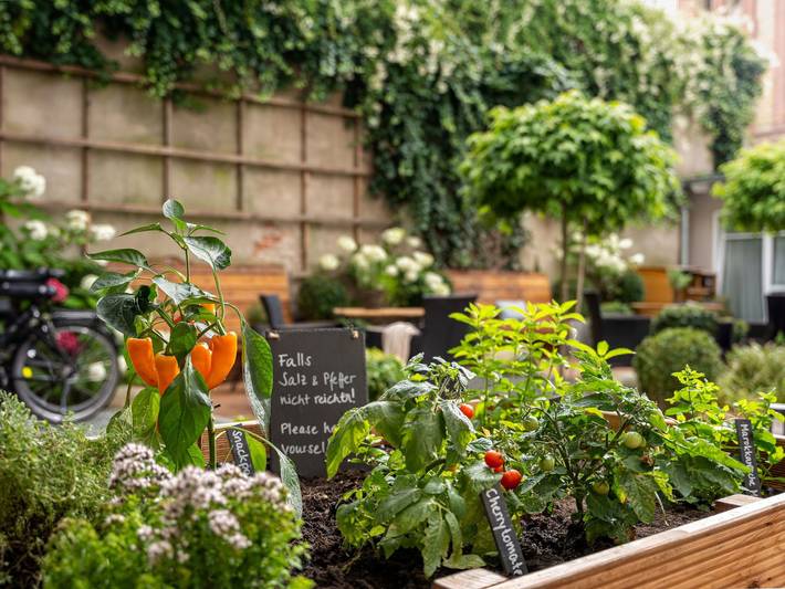 Ferienwohnung für 2 Personen, mit Garten, mit Haustier in Stralsund