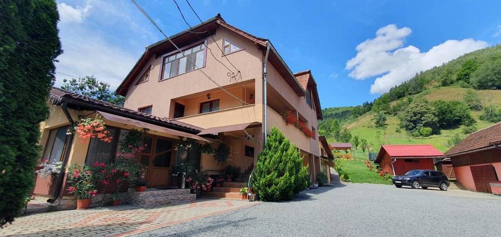 Maison d’hôte pour 2 personnes, avec vue et jardin à Alba (Romania) - 4