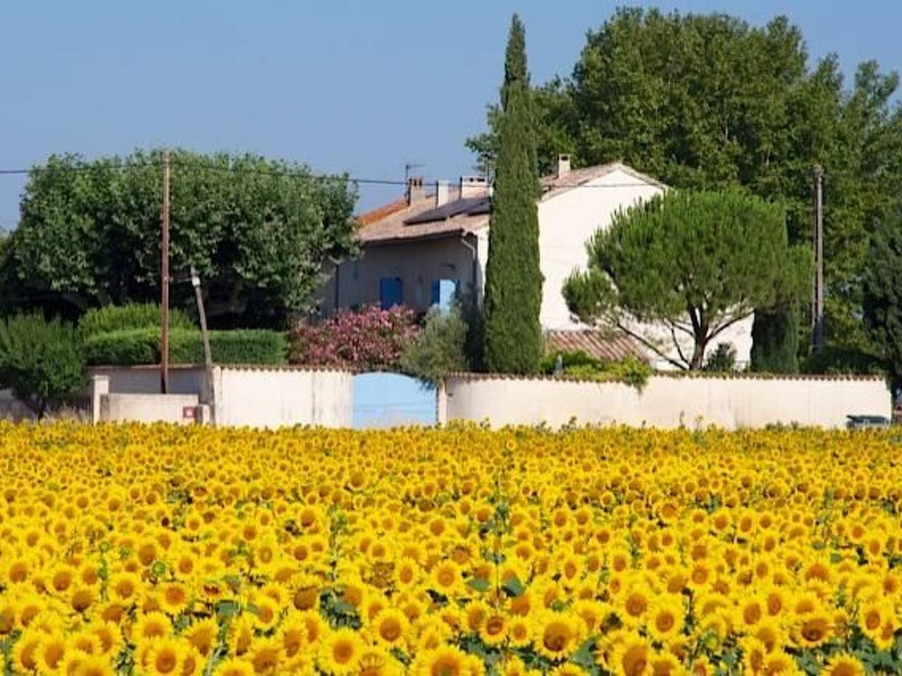 Bauernhaus mit Garten und Pool mit Bergblick in Sarrians, Vaucluse