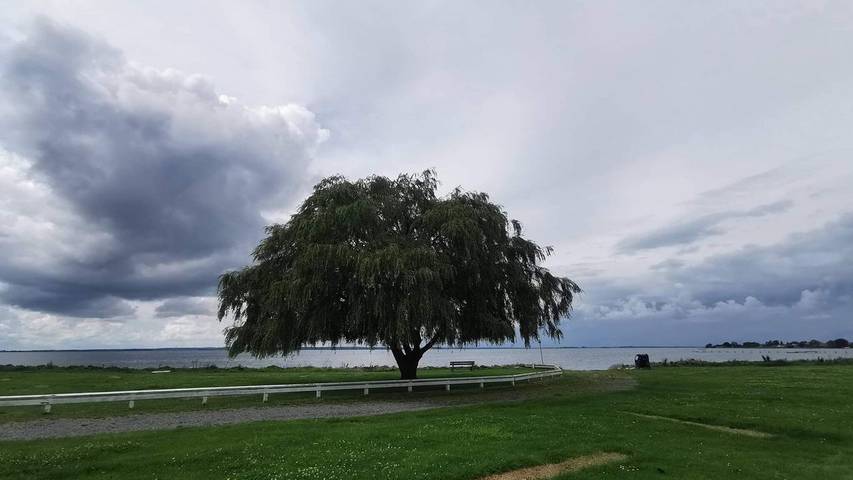 Ferienhaus für 6 Personen, mit Terrasse auf Møn - 3