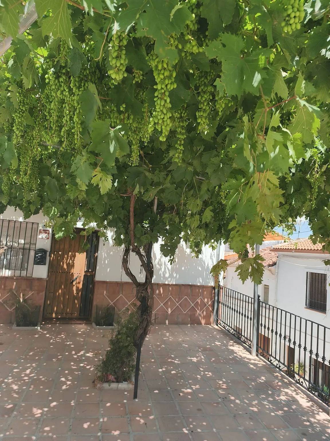 Casa Encantadora con Jardín en Ardales, 70 m², 5 Personas in Ardales, Provincia de Málaga