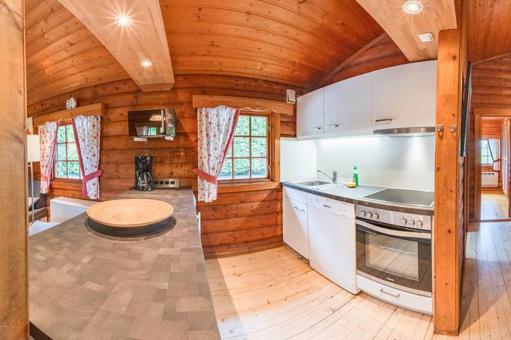 Ferienhaus für 8 Personen, mit Terrasse und Balkon/Terrasse sowie Sauna, mit Haustier in Willingen - 4