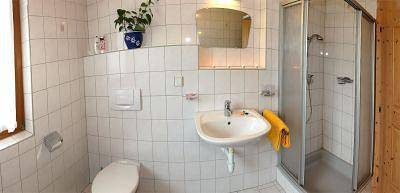 Geheel vakantieappartement, App/1 slaapkamer/woon-slaapk./douche,wc in Tux Alps, Fügen