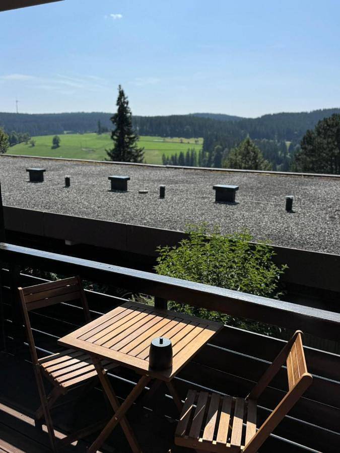 Ferienwohnung für 8 Personen, mit Pool und Ausblick sowie Sauna und Garten in Schonach (Dorf) - 4