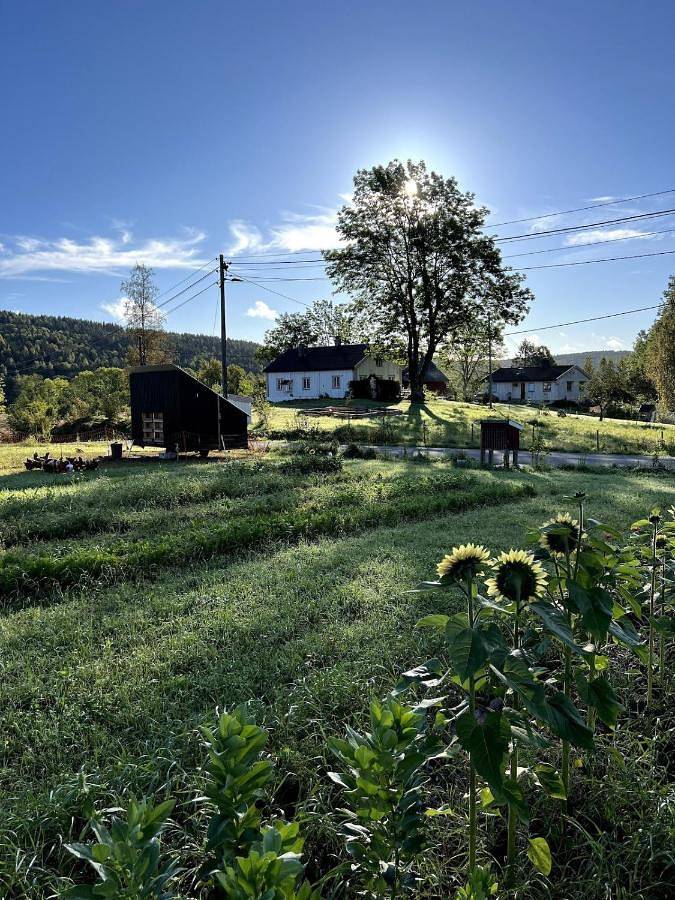 Villa für 8 Personen, mit Garten und Sauna, mit Haustier - 1