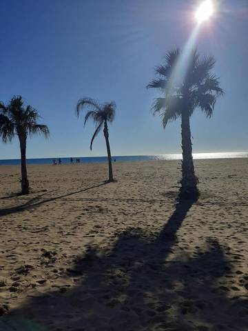 Gîte pour 3 personnes, avec terrasse dans Office De Tourisme De Valras Plage