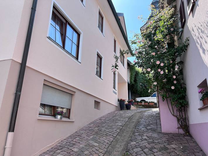 Ferienwohnung für 4 Personen, mit Terrasse und Garten in Europa-Park - 2