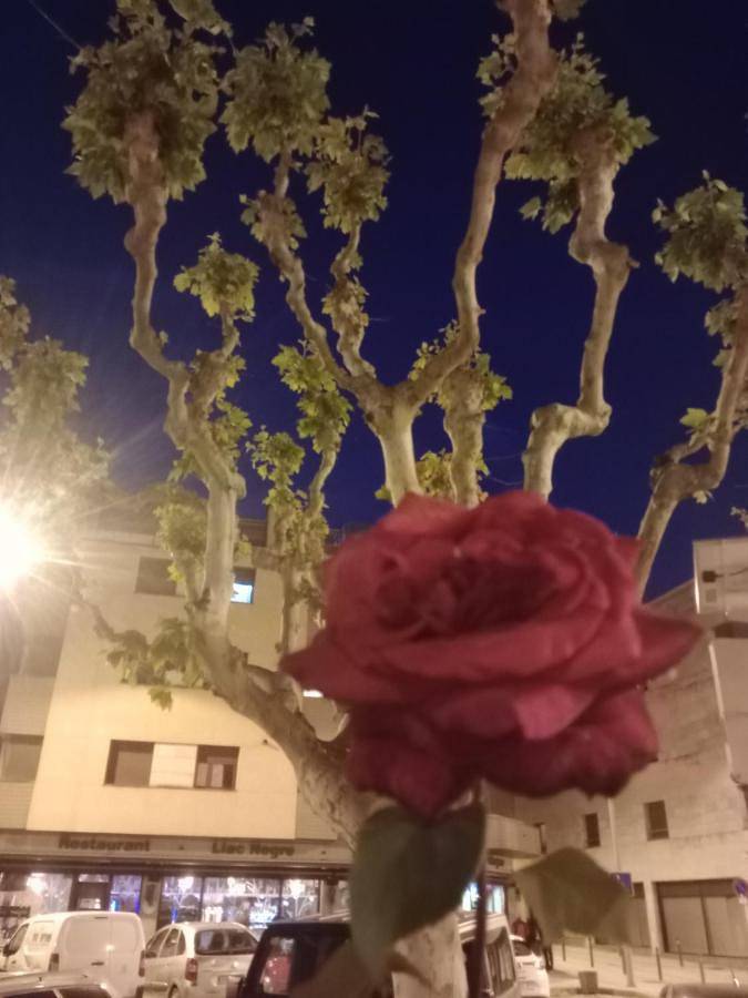 Gîte pour 13 personnes, avec vue et balcon à Tremp - 2