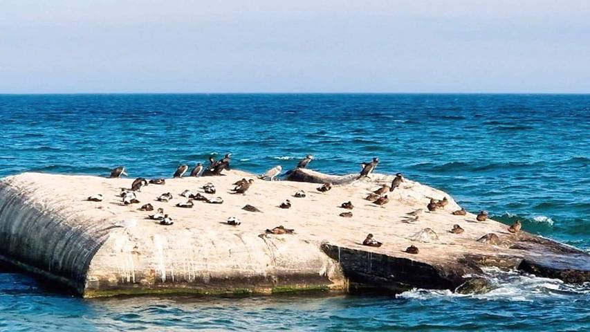 Ferienhaus für 3 Personen, mit Balkon und Pool sowie Whirlpool und Sauna in Nordjütland - 3