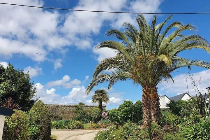 Maison de vacances pour 4 personnes, avec terrasse et jardin