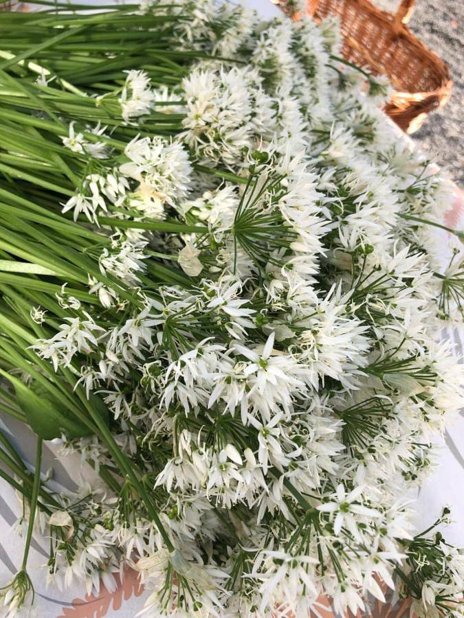 Chambre d’hôte pour 8 personnes en Belgique - 2