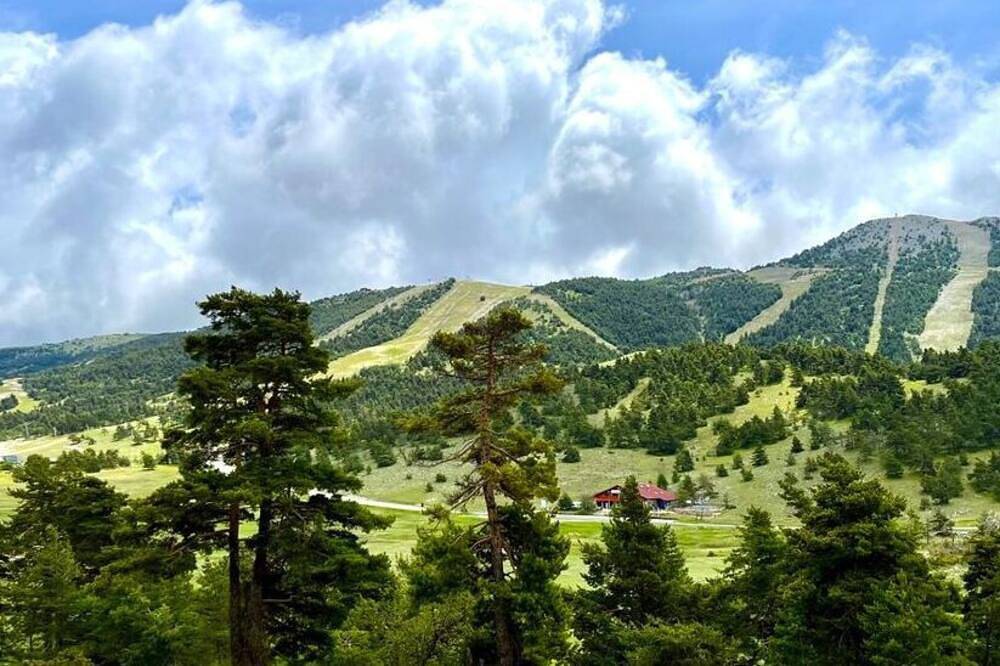 Ganze Wohnung, Grand Studio Plein sud Piste view in Gréolières les Neiges, Gréolières