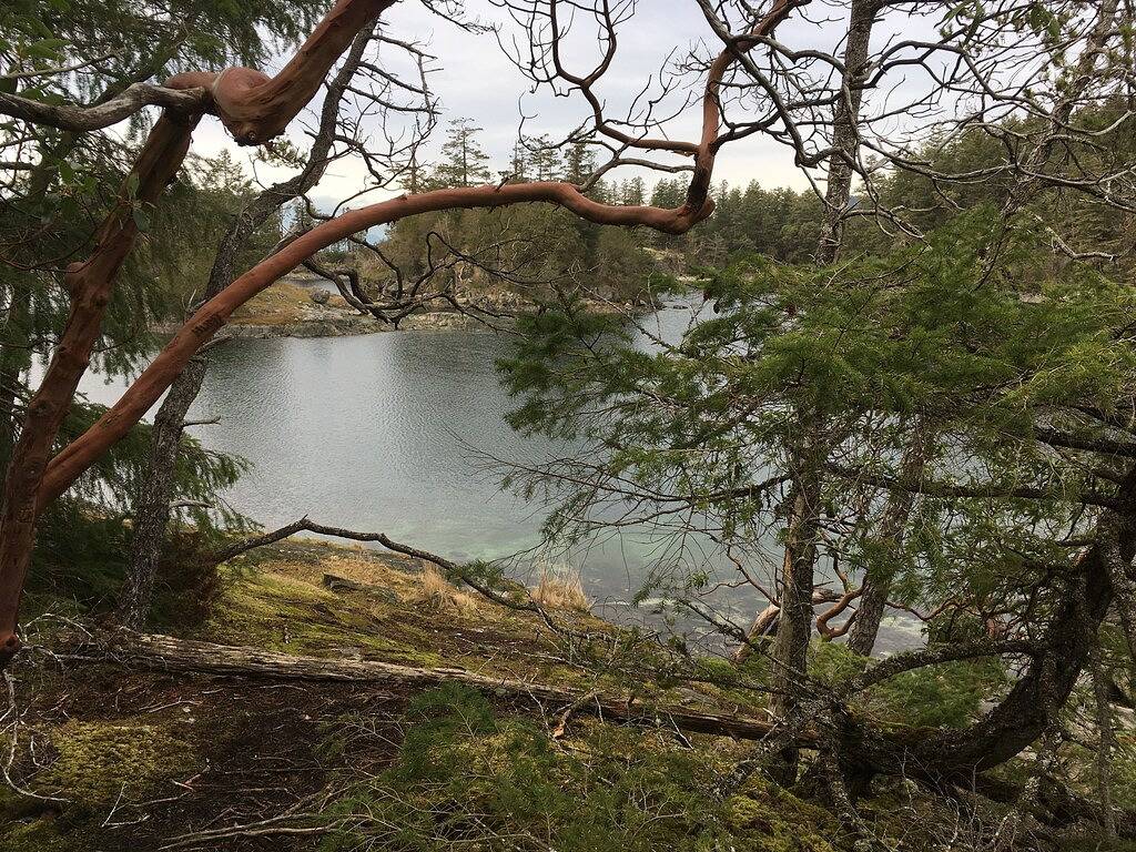 4 Bedroom Pet Friendly Cottage Ruhige, abgeschiedene Lage am Wasser in Secret Cove in Sunshine Coast Regional District