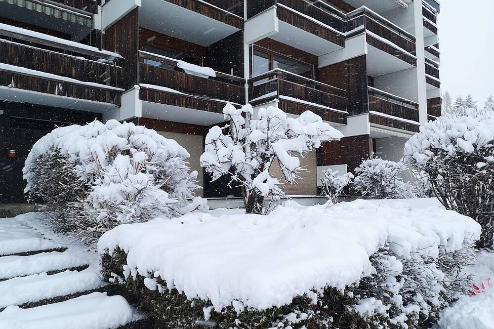 Appartement entier, Charmant studio pour amoureux du calme in Leysin, Alpes Vaudoises