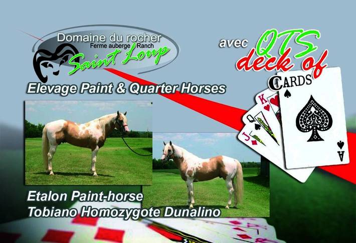 Gîte pour 10 personnes, avec jardin et vue ainsi que piscine et terrasse à Vif (Isère) - 3