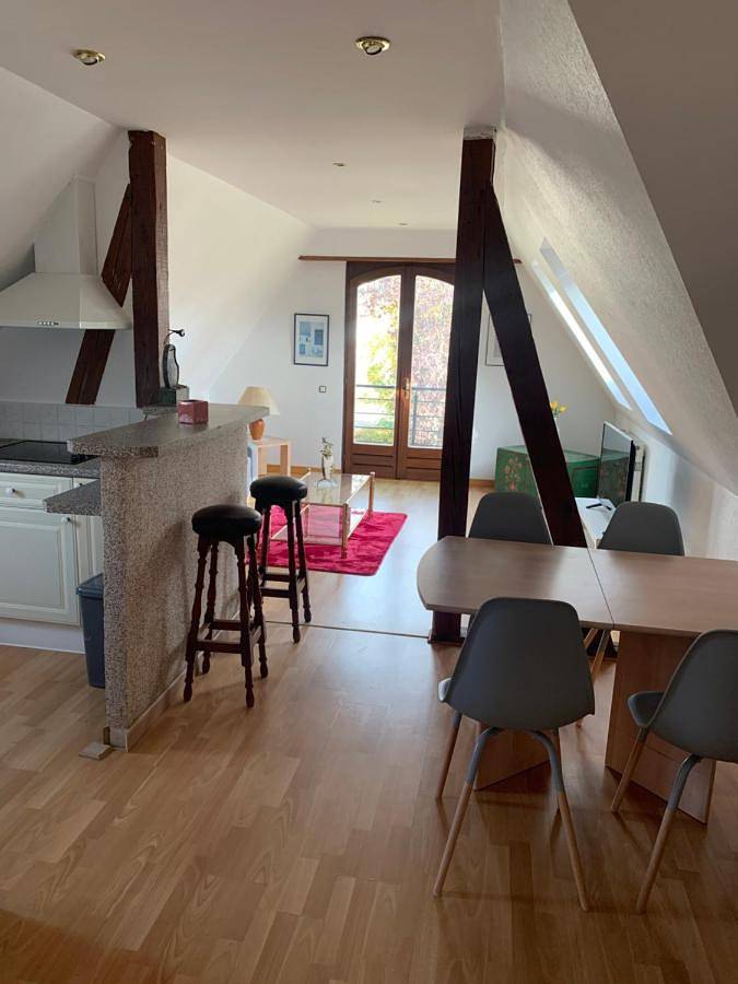 Gîte pour 4 personnes, avec jardin ainsi que vue et piscine, animaux acceptés à Barr - 2