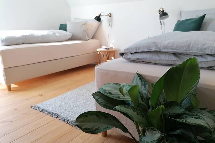 Ferienhaus für 14 Personen, mit Balkon und Garten in St. Blasien - 2