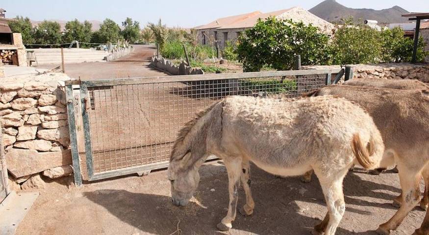 Casa rural para 4 personas, con jardín además de piscina y vistas en Tuineje - 3