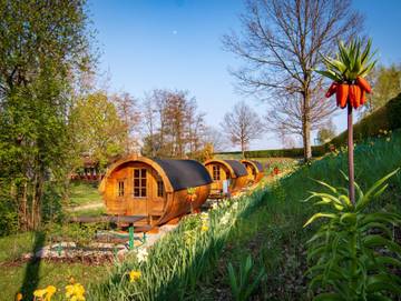 Camping für 4 Personen in Mühlviertel, Oberösterreich, Bild 4