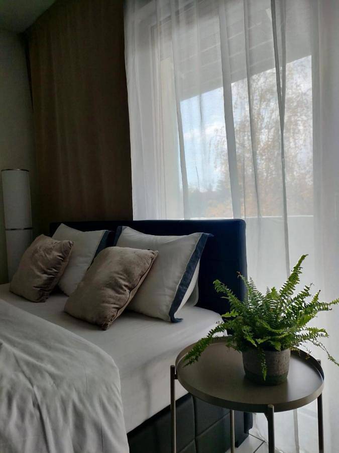 Gîte pour 4 personnes, avec vue et balcon, animaux acceptés à Saint-Julien-en-Genevois - 2