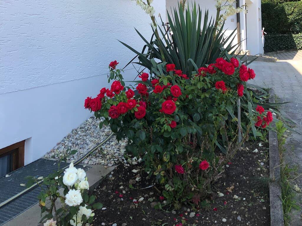 Appartement am Lindenfeld - Appartement mit Balkon in Bad Griesbach, Bayerische Golf und Thermenland