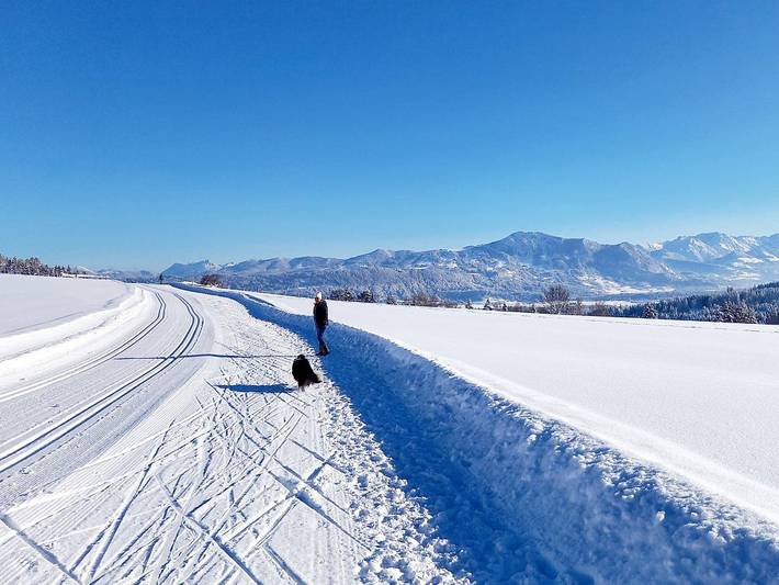 Bauernhof für 2 Personen, mit Sauna und Garten sowie Pool, kinderfreundlich im Oberallgäu - 2