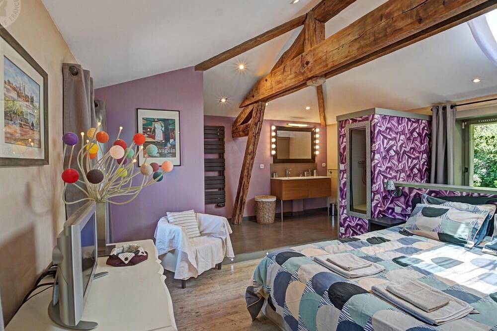 Gîte au cœur d'un village médiéval, charme et confort moderne in Chagnon, Loire