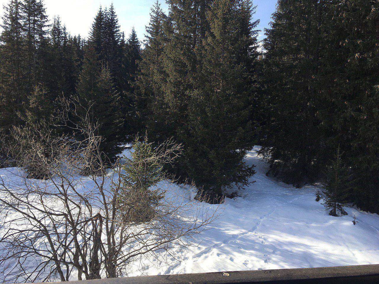 Apartamento entero, Résidence Jardin Alpin - Apartamento 3 piezas para 6 personas (209) in Courchevel 1850, Saint-Bon-Tarentaise