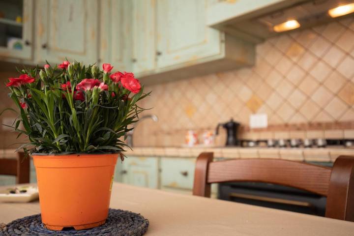 Ferienwohnung für 4 Personen, mit Ausblick, mit Haustier auf Isola del Giglio - 3