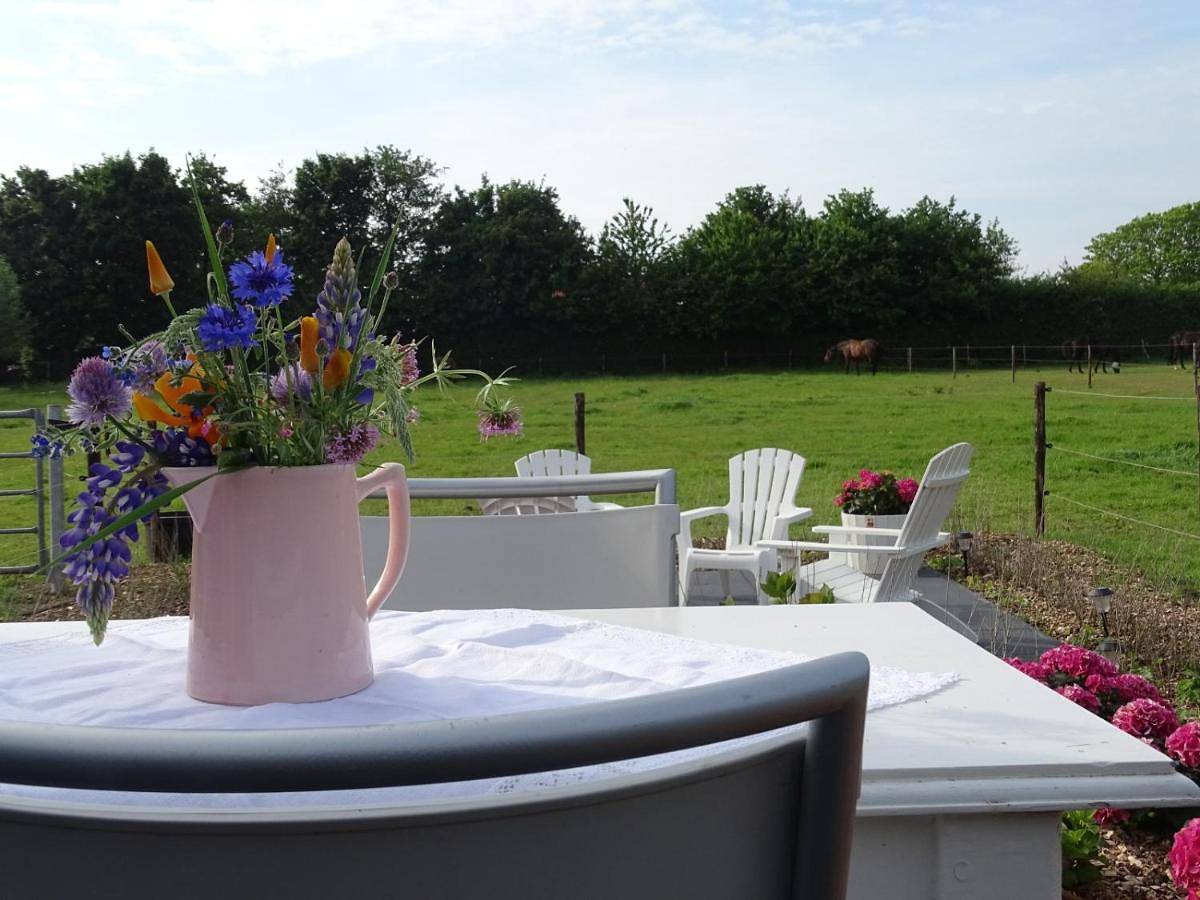 Double Room with Terrace in Noordgouwe, Zeeuwse Kust