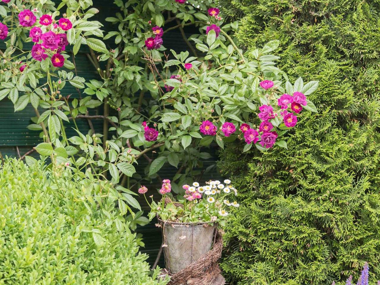Ganze Ferienwohnung, Birgit s Huuske in Stedesdorf, Nordseeküste