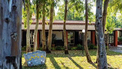 Camping für 4 Personen in Pineta di Maria Pia, Sassari Provinz, Bild 4