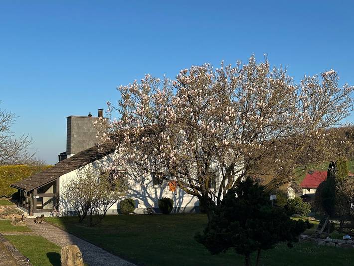 Ferienwohnung für 4 Personen, mit Balkon und Terrasse sowie Garten im Teutoburger Wald - 2