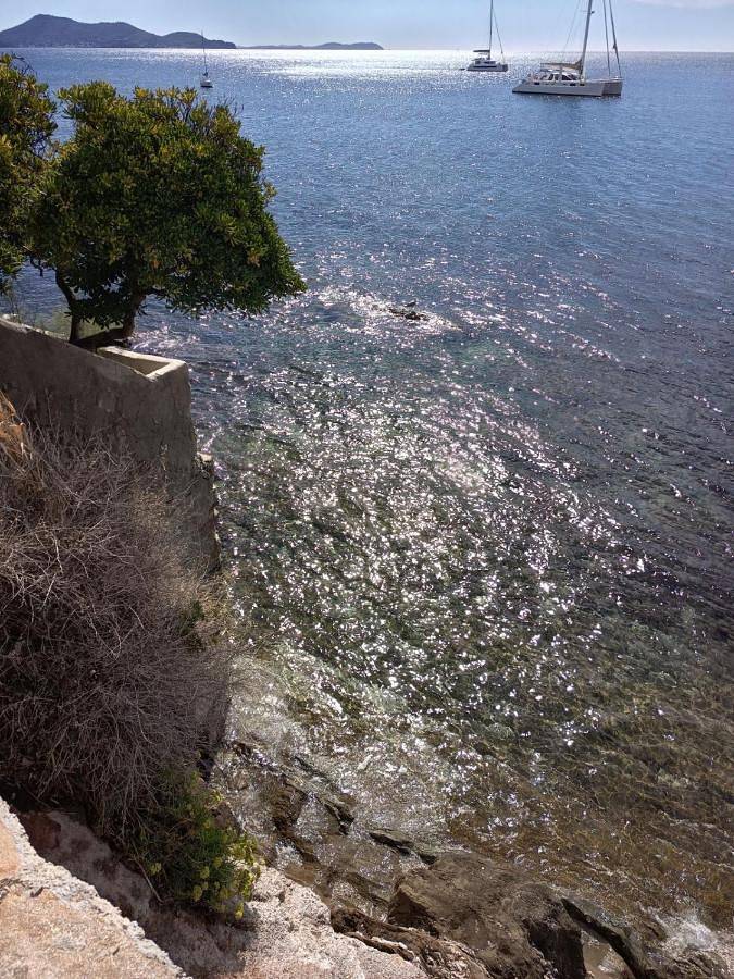 Maison d’hôte pour 3 personnes, avec Balcon ainsi que Terrasse et Vue à Toulon