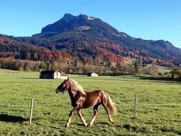Ferienwohnung für 4 Personen, mit Garten und Balkon, kinderfreundlich in Fischbachau - 4