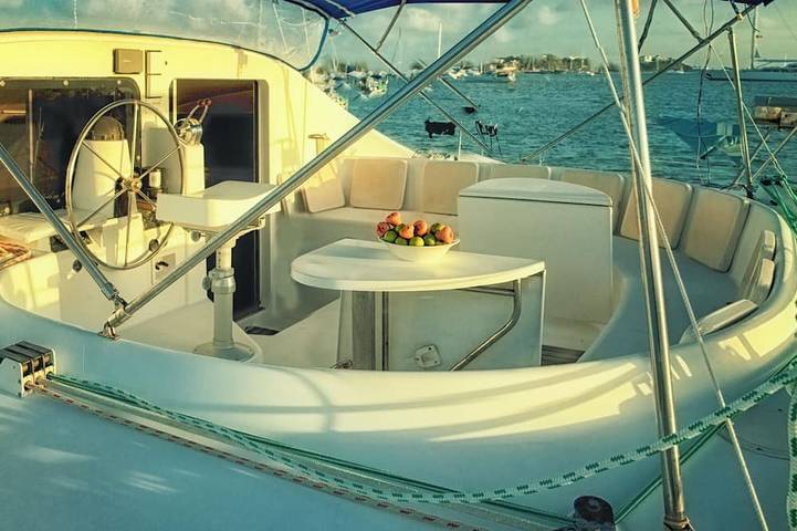 Sleep Under the Stars on a Sailing Catamaran near Amsterdam in Monnickendam, Markermeer