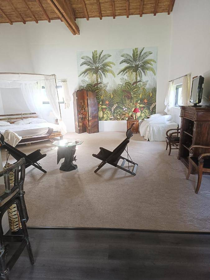 Location de vacances pour 3 personnes, avec sauna et jardin ainsi que piscine et jacuzzi à Bazas - 2