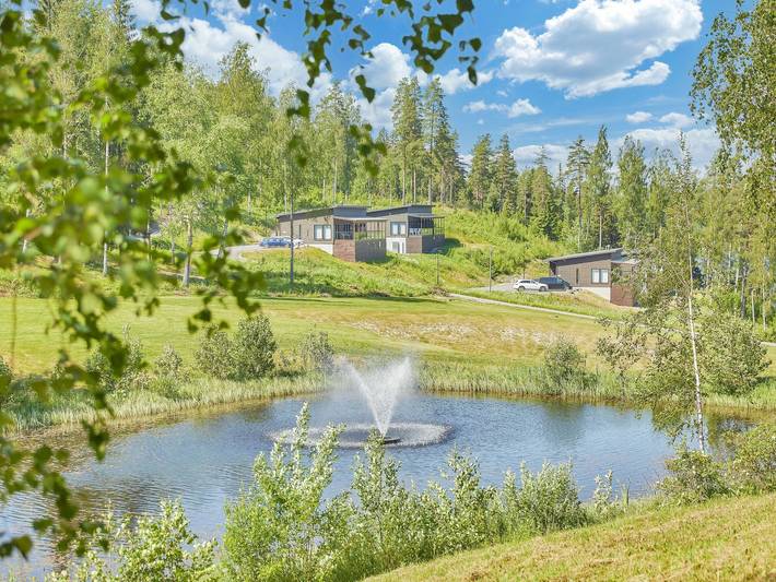 Villa koivu in Lohja, Uusimaa
