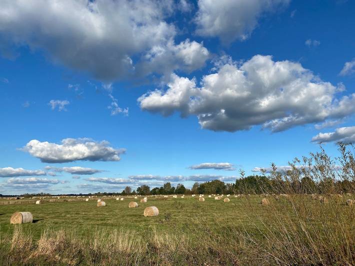 Ganze Ferienwohnung, Fewo Hasen Suite in Worpswede, Niedersachsen