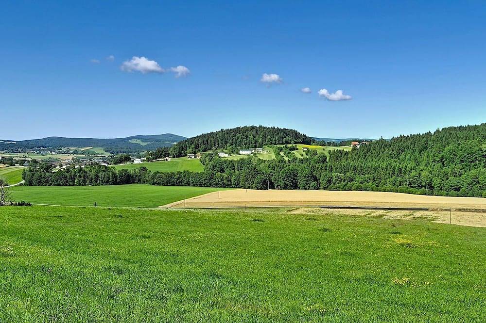 Ganze Wohnung, Schöne Wohnung für 2 Gäste mit  W-Lan, Tv, Terrasse und Haustiere erlaubt in Klaffer am Hochficht, Bezirk Rohrbach