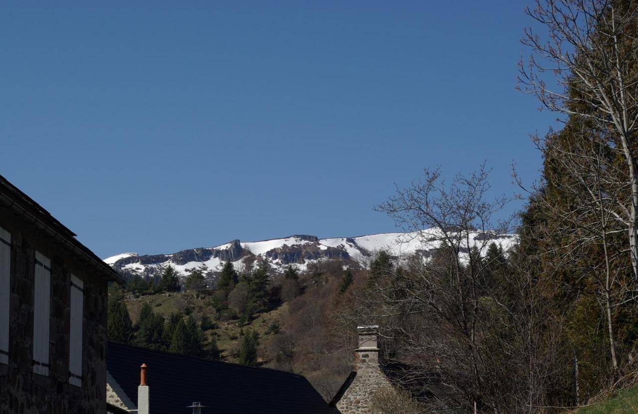 Appartement entier, La Belle Arverne in Albepierre-Bredons, Parc naturel régional des Volcans d'Auvergne
