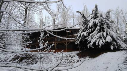 Log Cabin for 6 Guests in Blue Ridge Mountains, North Carolina, Picture 4