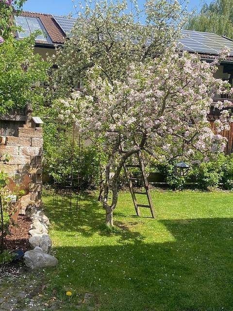 Ganze Ferienwohnung, Ferienwohnungen Kirchmayer - Chiemgau Karte - Ferienwohnung Frillensee für 2 Personen mit Terrasse, 38 qm, Wohnküche in Inzell, Bayerische Alpen